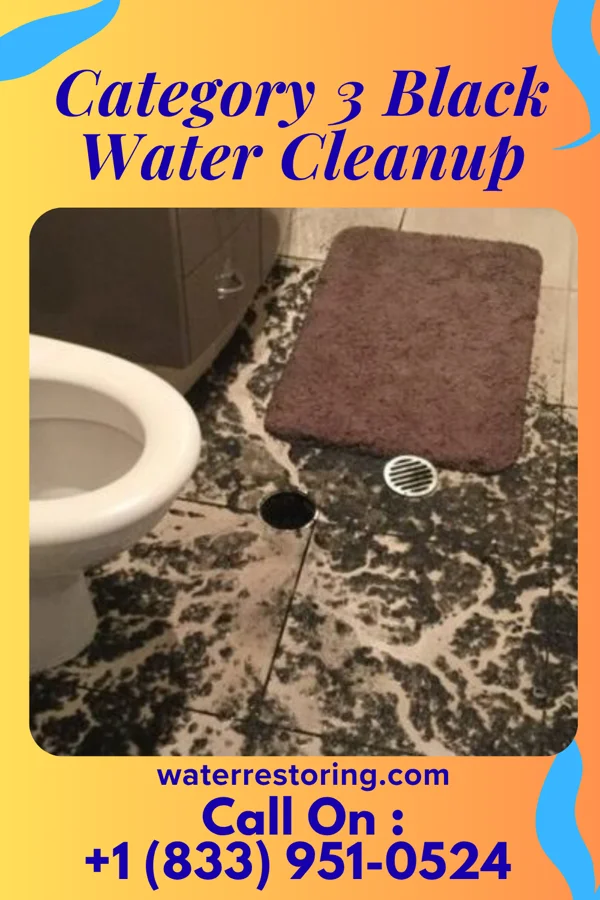 Category 3 Black Water Cleanup in Frenchburg, KY