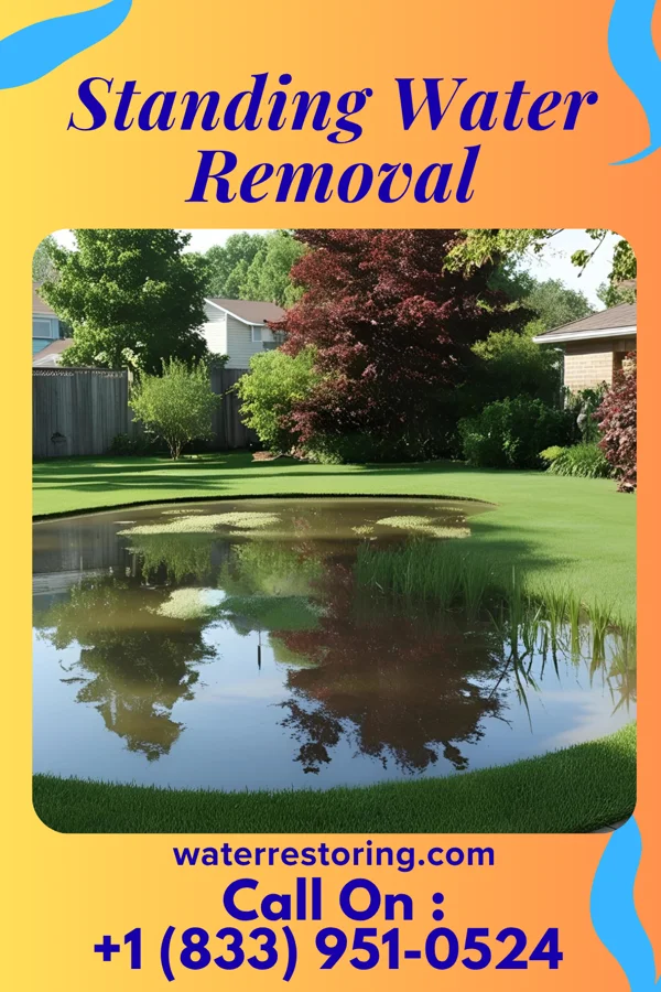 Standing Water Removal in Frenchburg, KY